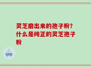 灵芝磨出来的孢子粉？什么是纯正的灵芝孢子粉