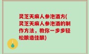 灵芝天麻人参泡酒方(灵芝天麻人参泡酒的制作方法，教你一步步轻松酿造佳酿)