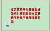 吃灵芝孢子对肝脏有好处吗？转氨酶高吃灵芝孢子粉能不能降低转氨酶