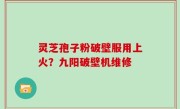 灵芝孢子粉破壁服用上火？九阳破壁机维修