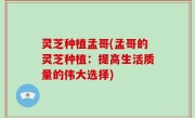 灵芝种植孟哥(孟哥的灵芝种植：提高生活质量的伟大选择)