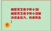 破壁灵芝孢子粉小贷(破壁灵芝孢子粉小贷解决资金压力，快速救急)
