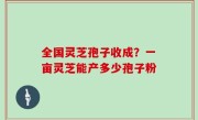 全国灵芝孢子收成？一亩灵芝能产多少孢子粉