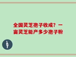 全国灵芝孢子收成？一亩灵芝能产多少孢子粉