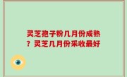 灵芝孢子粉几月份成熟？灵芝几月份采收最好