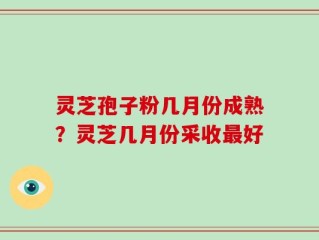 灵芝孢子粉几月份成熟？灵芝几月份采收最好