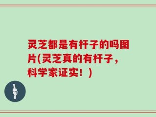 灵芝都是有杆子的吗图片(灵芝真的有杆子，科学家证实！)