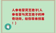 人参皂苷灵芝孢子(人参皂苷与灵芝孢子的神奇功效，给你带来惊喜！)