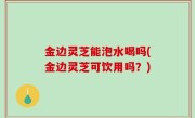 金边灵芝能泡水喝吗(金边灵芝可饮用吗？)