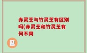 赤灵芝与竹灵芝有区别吗(赤灵芝和竹灵芝有何不同