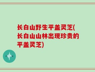 长白山野生平盖灵芝(长白山山林出现珍贵的平盖灵芝)