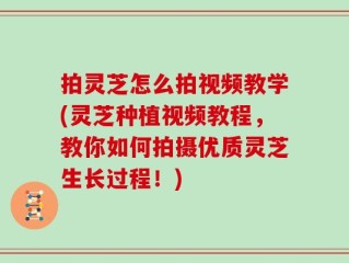 拍灵芝怎么拍视频教学(灵芝种植视频教程，教你如何拍摄优质灵芝生长过程！)