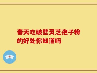 春天吃破壁灵芝孢子粉的好处你知道吗
