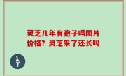 灵芝几年有孢子吗图片价格？灵芝采了还长吗