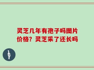 灵芝几年有孢子吗图片价格？灵芝采了还长吗