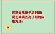 灵芝去除孢子后利用(灵芝果实去孢子后的应用方法)