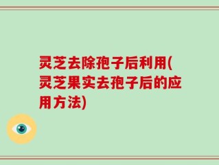 灵芝去除孢子后利用(灵芝果实去孢子后的应用方法)