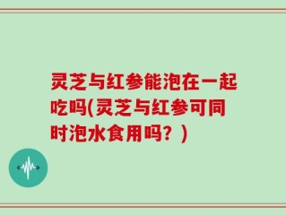 灵芝与红参能泡在一起吃吗(灵芝与红参可同时泡水食用吗？)