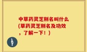 中草药灵芝别名叫什么(草药灵芝别名及功效，了解一下！)