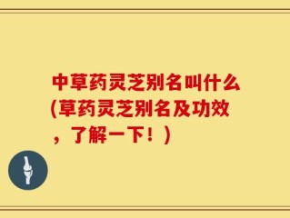 中草药灵芝别名叫什么(草药灵芝别名及功效，了解一下！)