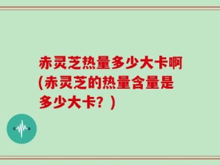 赤灵芝热量多少大卡啊(赤灵芝的热量含量是多少大卡？)