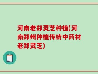 河南老郑灵芝种植(河南郑州种植传统中药材老郑灵芝)