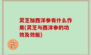 灵芝加西洋参有什么作用(灵芝与西洋参的功效及效能)