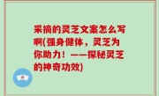 采摘的灵芝文案怎么写啊(强身健体，灵芝为你助力！——探秘灵芝的神奇功效)