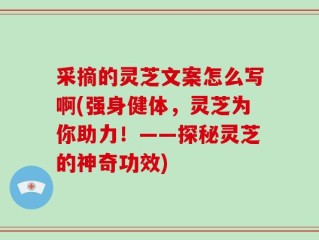采摘的灵芝文案怎么写啊(强身健体，灵芝为你助力！——探秘灵芝的神奇功效)