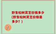 野生松树灵芝价钱多少(野生松树灵芝价格是多少？)