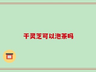 干灵芝可以泡茶吗
