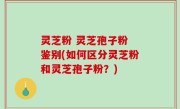 灵芝粉 灵芝孢子粉 鉴别(如何区分灵芝粉和灵芝孢子粉？)
