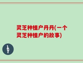 灵芝种植户丹丹(一个灵芝种植户的故事)