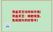 薄盖灵芝功效和作用(薄盖灵芝：细胞增值、免疫提升的好帮手)