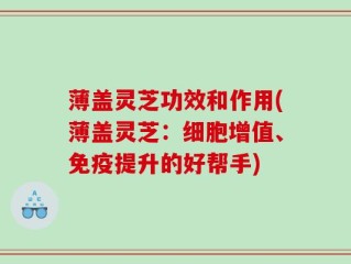 薄盖灵芝功效和作用(薄盖灵芝：细胞增值、免疫提升的好帮手)
