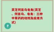 灵芝何首乌皂角(灵芝、何首乌、皂角：三种中草药的功效及应用方式)