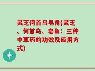 灵芝何首乌皂角(灵芝、何首乌、皂角：三种中草药的功效及应用方式)