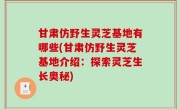 甘肃仿野生灵芝基地有哪些(甘肃仿野生灵芝基地介绍：探索灵芝生长奥秘)