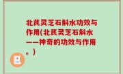 北芪灵芝石斛水功效与作用(北芪灵芝石斛水——神奇的功效与作用。)