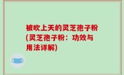 被吹上天的灵芝孢子粉(灵芝孢子粉：功效与用法详解)