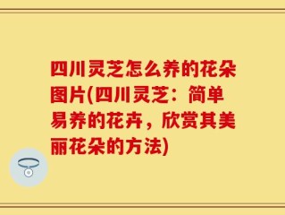 四川灵芝怎么养的花朵图片(四川灵芝：简单易养的花卉，欣赏其美丽花朵的方法)