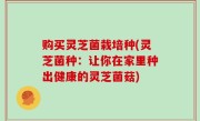 购买灵芝菌栽培种(灵芝菌种：让你在家里种出健康的灵芝菌菇)