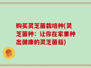 购买灵芝菌栽培种(灵芝菌种：让你在家里种出健康的灵芝菌菇)