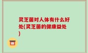 灵芝菌对人体有什么好处(灵芝菌的健康益处)