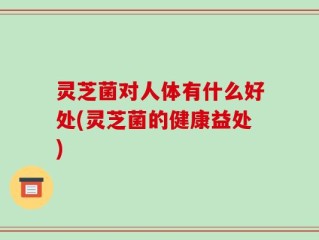 灵芝菌对人体有什么好处(灵芝菌的健康益处)