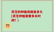 灵芝的种植周期是多久(灵芝种植需要多长时间？)