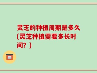 灵芝的种植周期是多久(灵芝种植需要多长时间？)
