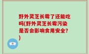 野外灵芝长霉了还能吃吗(野外灵芝长霉污染是否会影响食用安全？)