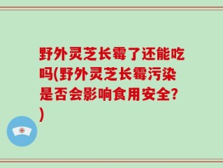 野外灵芝长霉了还能吃吗(野外灵芝长霉污染是否会影响食用安全？)