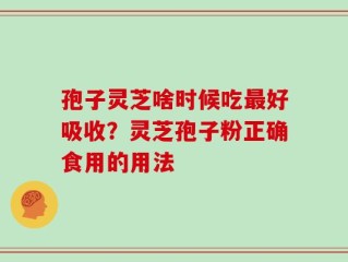孢子灵芝啥时候吃最好吸收？灵芝孢子粉正确食用的用法